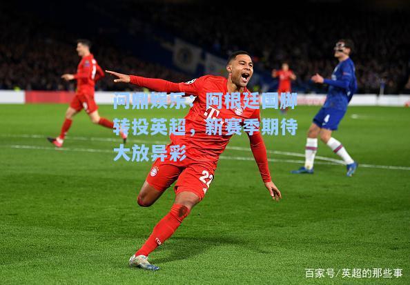 问鼎娱乐：阿根廷国脚转投英超，新赛季期待大放异彩